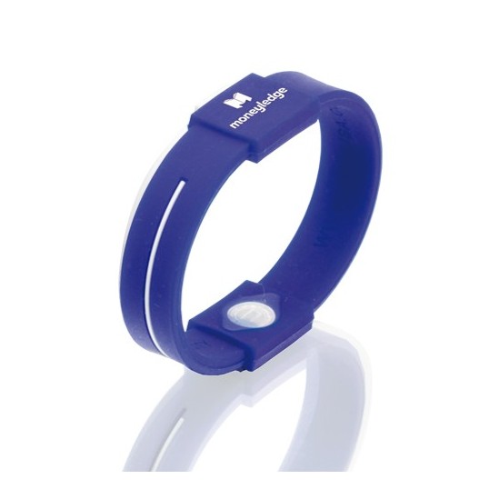 PULSERA ENERGY